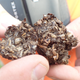 The grasshopper poop, in all its exoskeletal glory